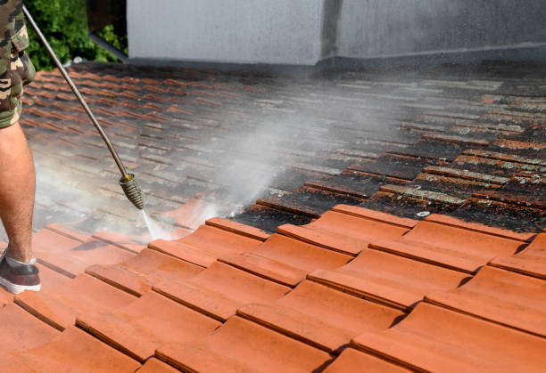 Best Pressure Washing Company Near Me  in Newburgh Heights, OH