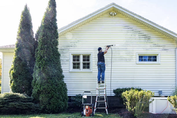 Best Roof Pressure Washing  in Newburgh Heights, OH